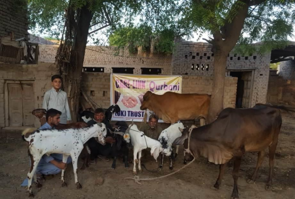 Qurbani project